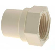 1/2" CPVC FEMALE ADAPTER